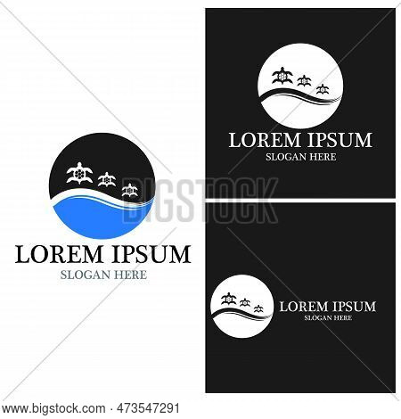 Turtle Animal Cartoon Icon