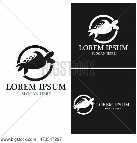 Turtle Animal Cartoon Icon