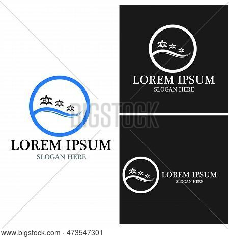 Turtle Animal Cartoon Icon