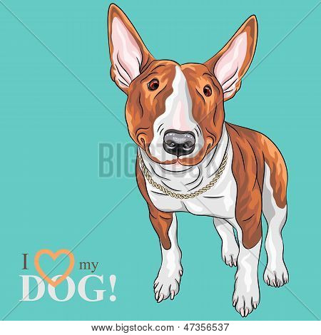 Vector Cartoon sorridente Bull Terrier cane razza