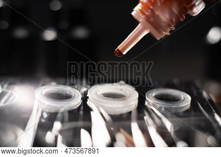 Drop Of Red Inks For Permanent Tattoo. Professional Permanent Pigment For Tattoo. Permanent Makeup. 