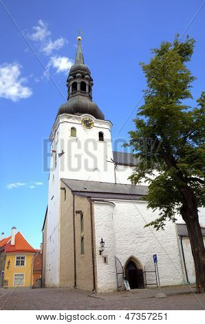 St Mary's Katedrali. Tallinn, Estonya