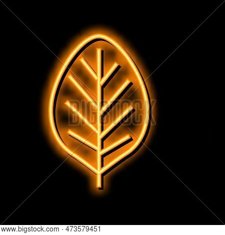 Teak Leaf Neon Light Sign Vector. Teak Leaf Illustration