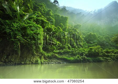 nella giungla del Vietnam