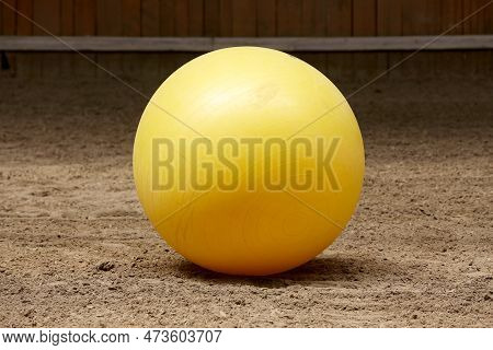 Plastic Physioball On The Sand During Training For Beginner Riders And Horses At Riding School Indoo