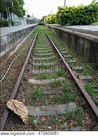 Our Life Looks Like Rail Such As Pereller And Long Street. We Need Somethig Speed.