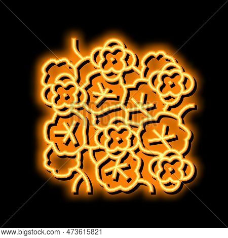 Nasturtium Liana Neon Light Sign Vector. Nasturtium Liana Illustration