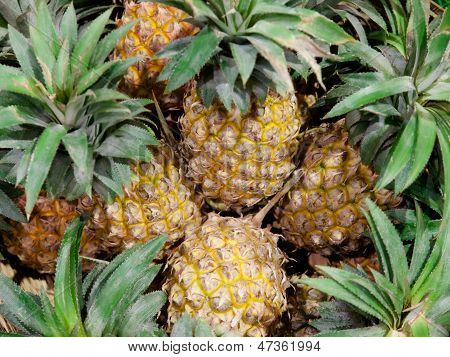 Ananas