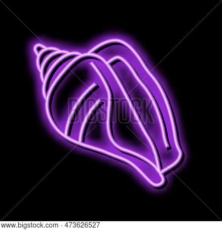 Strombus Sea Shell Beach Neon Light Sign Vector. Strombus Sea Shell Beach Illustration
