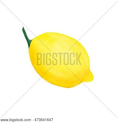 Watercolor Lemon Yellow, Isolated On White Background. Vegetable Menu.illustration For Design, Greet