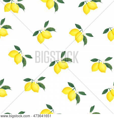 Watercolor Seamless Pattern With Yellow Lemon Branch Isolated On White Background. Illustration For 