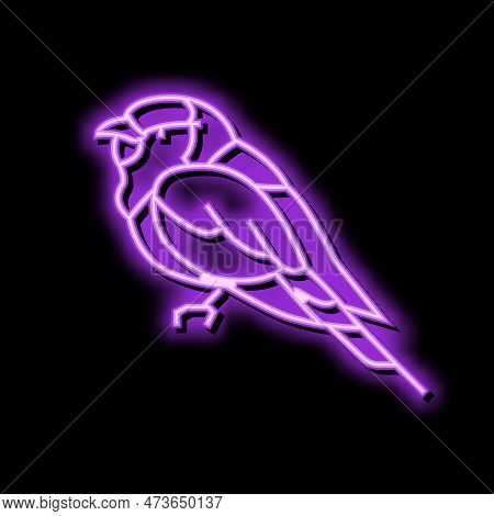 Lilac Breasted Roller Bird Exotic Neon Light Sign Vector. Lilac Breasted Roller Bird Exotic Sign. Is