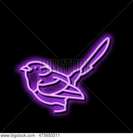 Splendid Fairywren Bird Exotic Neon Light Sign Vector. Splendid Fairywren Bird Exotic Sign. Isolated