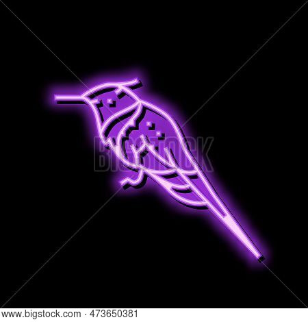 Horned Sungem Bird Exotic Neon Light Sign Vector. Horned Sungem Bird Exotic Sign. Isolated Symbol Il