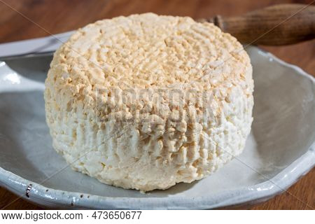 Polish Skimmed Fresh Smoked Milk Twarog Cheese, White Cow Cheese Compared To Curd, Quark, Or Cottage