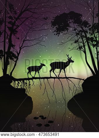Deer Family In Misty Forest. Animals Walk On Fallen Tree. Polar Lights