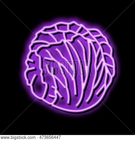 Radicchio Salad Food Neon Light Sign Vector. Radicchio Salad Food Sign. Isolated Symbol Illustration