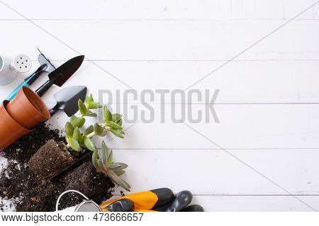 Home Plants And The Soil, Pots And Gardening Tools Flat Lay, Top View. Home Gardening Concept. Copy 