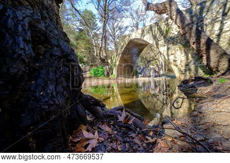 Tree Bark And Tzelefos Picturesque Medieval Bridge  In The Background In Troodos In Cyprus