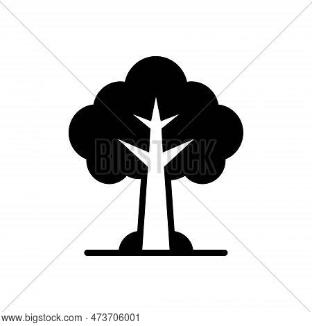 Black Solid Icon For Tree Plant Foliage Greenstuff Environment Nature Botany Branch Timber Forest Gr