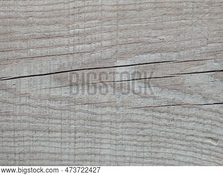 Grunge Rough Texture, Wood Texture. Naturally Aged Plank. Aged, Rustic Gray Dark Pine Wood Texture. 