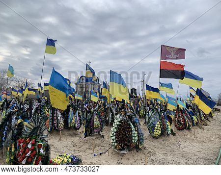 National Flags At The Military Cemetery. Eternal Memory To The Defenders Of Ukraine. Cemetery With T