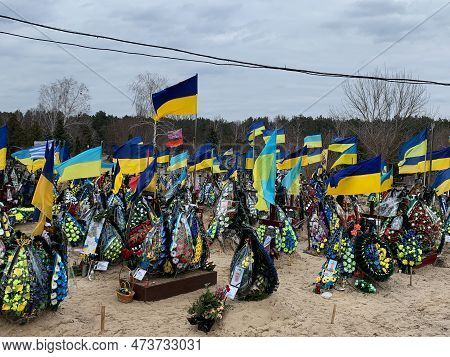 National Flags At The Military Cemetery. Eternal Memory To The Defenders Of Ukraine. Cemetery With T