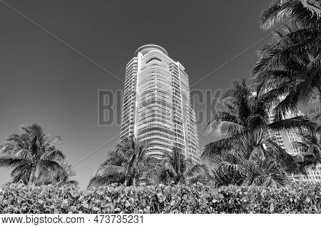 Modern Towerblocks Bottom View On Blue Sky With Palms And Hedge In South Beach, Usa