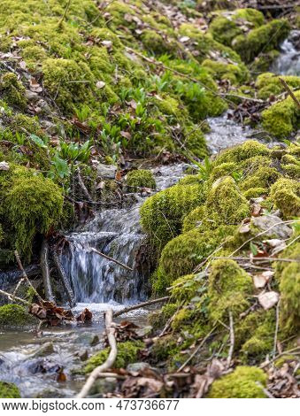 Small Rivulet With Some Cascades In Early Spring Time