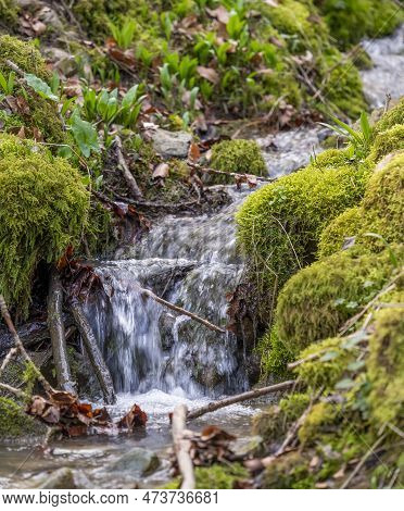 Closeup Shot Of A Small Rivulet With Some Cascades In Early Spring Time