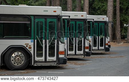 Yosemite National Park, United States: June 26, 2022: Shuttle Busses Parked In A Row