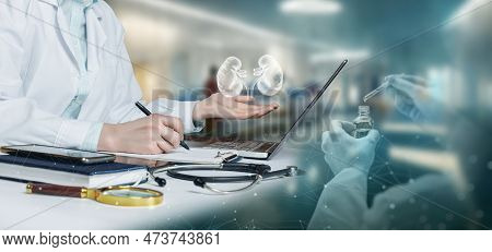 The Doctor On The Laptop Is Working On The Diagnosis Of Urolithic Kidney Disease.