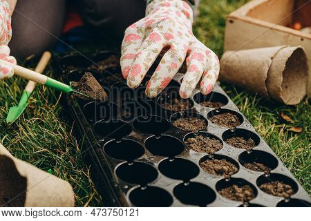 A Woman Prepares The Ground For Planting Seeds In Cells In The Spring. Close-up Hands Are Running Wi