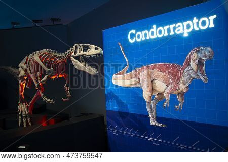 Perth, Australia - September 22, 2022: Condorraptor Dinosaur Of Patagonia Exhibitioned At Wa Boola B