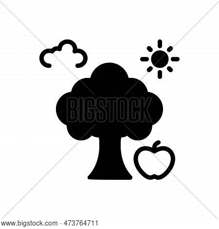 Black Solid Icon For Genesis Origin Origination Provenance Plant Sunlight Fruit Engendering Inceptio
