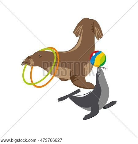 Animal Circus Performance Isometric Icon With Seal And Walrus Performing With Ball And Rings Vector 