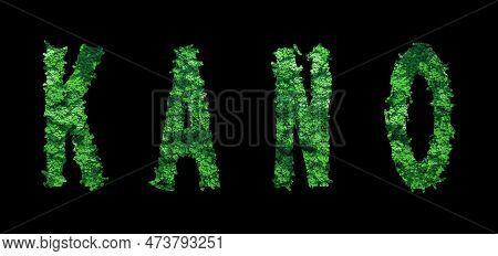 Kano Lettering, Kano Forest Ecology Concept On Black, Clipping Path