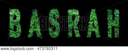 Basrah Lettering, Basrah Forest Ecology Concept On Black, Clipping Path