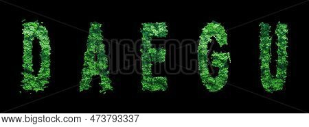 Daegu Lettering, Daegu Forest Ecology Concept On Black, Clipping Path