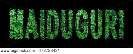 Maiduguri Lettering, Maiduguri Forest Ecology Concept On Black, Clipping Path