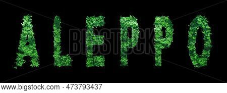 Aleppo Lettering, Aleppo Forest Ecology Concept On Black, Clipping Path