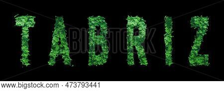 Tabriz Lettering, Tabriz Forest Ecology Concept On Black, Clipping Path