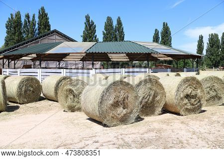 Bale Of Strawrolls. Stacked Straw Bales In An Animal Farm. Farmyard Storage Concept. Lots Of Hay. Ho