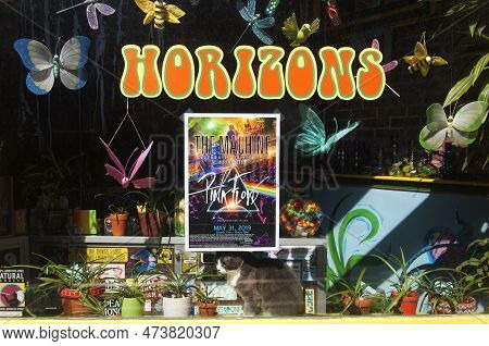 May18, 2019. Jim Thorpe, Pennsylvania. A Cat In A Store's Window Display In The Town Of Jim Thorpe P
