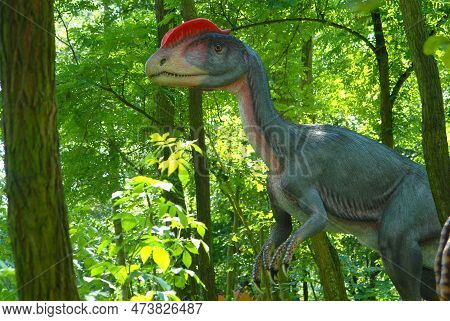 Rogowo, Poland - July 26, 2007: Dinosaur Dilophosaur, Dilophosaurus Wetherilli In Jurassic Park, Din