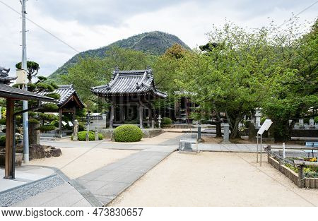 Mandara Ji Images, Illustrations & Vectors (Free) Bigstock