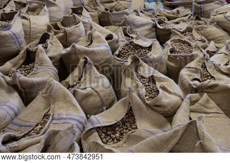 Sacks Full Of Nutmeg. Sacks With Nutmeg. Sacks And Nutmeg. Photo Of Nutmeg In Sacks At Warehouse