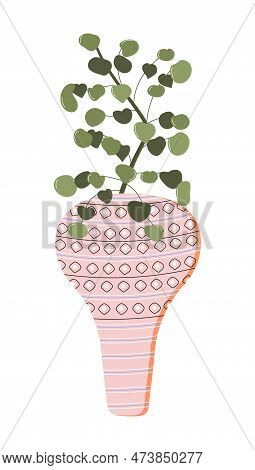 Pilea Peperomioides Houseplant With Clay Pot With Ornaments Vector Set. Plant Growing In Pot Or Plan