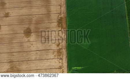 Flying Over Halves Yellow Wheat And Field Green Agricultural Plant. Agricultural Fields With Ripe Cr