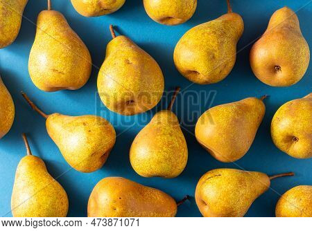 Yellow Pears On A Blue Background. Fruit Harvest. Autumn Still Life. Pear Variety Bera Conference. V